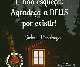 Noite Feliz Frases