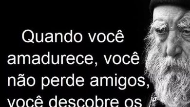 Palavras Bonitas Sobre Amizade Para Whatsapp