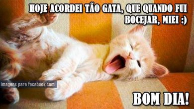 Pequenas Frases De Bom Dia Para Facebook