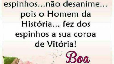 Poemas De Boa Tarde Especial