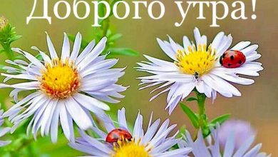 доброе утро открытки