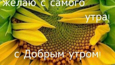 пожелания доброго утра открытки