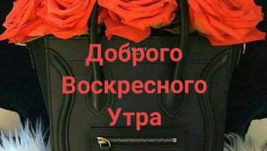 стрелец открытки