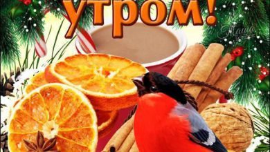 доброе утро ведущие открытки