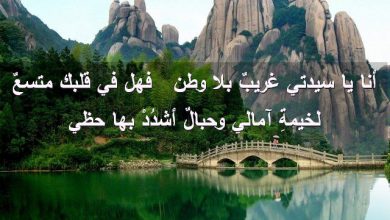 يا سيدتي غريبٌ بلا وطن فهل في قلبك متسعٌ لخيمةِ آمالي وحبالٌ أشدُدْ بها حظي صور رسائل حب رومانسيه