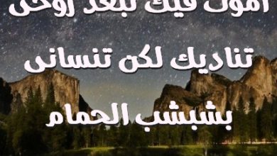 ارضيك تحبنى اموت فيك تبعد روحى تناديك لكن تنسانى بشبشب الحمام واهريك صور حب رومانسيه