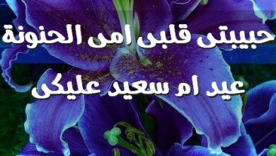 قلبى امى الحنونة عيد ام سعيد عليكى