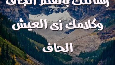 بالقلم الجاف وكلامك زى العيش الحاف صور حب رومانسيه