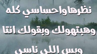 انتا مزروع فيها وعيني انتا نظرهاواحساسي كله وهبتهولك وبقولك انتا وبس اللى ناسي واهلي صور حب رومانسيه