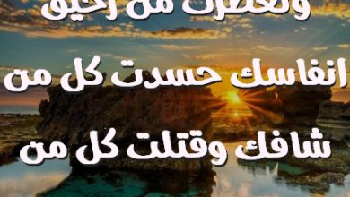 من هوى كاسك وتعطرت من رحيق انفاسك حسدت كل من شافك وقتلت كل من باسك صور حب رومانسيه