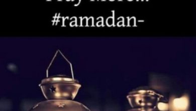 جميلة جدا عن رمضان 390x220 - صور جميلة جدا عن رمضان