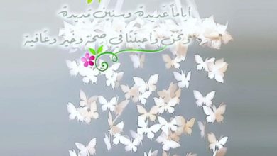 عن شهر رمضان مكتوب عليها