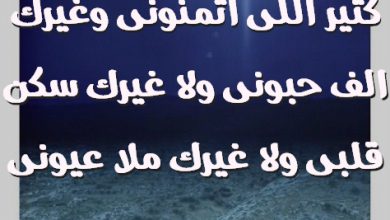 اللى اتمنونى وغيرك الف حبونى ولا غيرك سكن قلبى ولا غيرك ملا عيونى صور حب رومانسيه