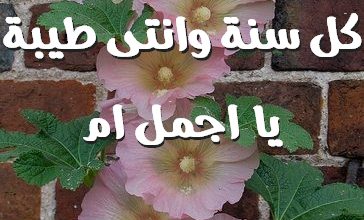 سنة وانتى طيبة يا اجمل ام