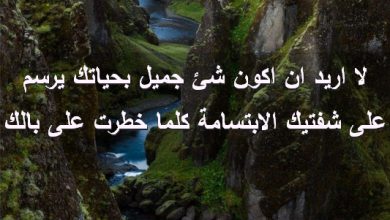 اريد ان اكون شئ جميل بحياتك يرسم على شفتيك الابتسامة كلما خطرت على بالك صور رسائل حب رومانسيه