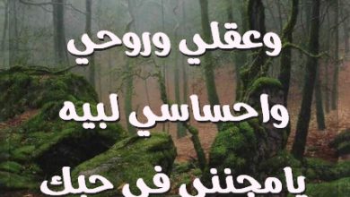 ياسالب قلبي وعقلي وروحي واحساسي لبيه يامجنني في حبك صور حب رومانسيه