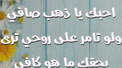 يخفى عليك خافي احبك يا ذهب صافي ولو تامر على روحي ترى بحقك ما هو كافي صور حب رومانسيه