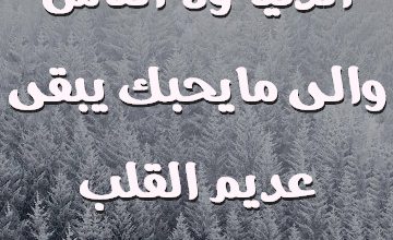 ماشافك ماشاف الدنيا ولا الناس والى مايحبك يبقى عديم القلب والاحساس صور حب رومانسيه