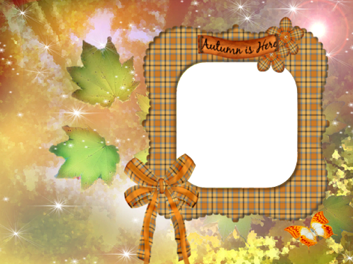 Autumn a patterns photo frame