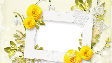 Bright yellow flowers photo frame