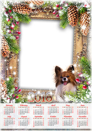 Calendar2018 Lights and a dog photo frame