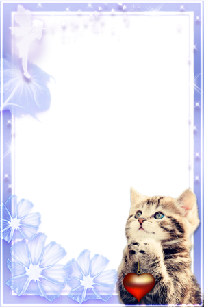 Cute Romantic Kitten photo frame