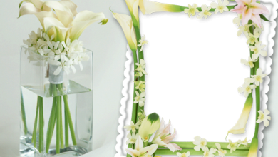 Delicate Flowers photo frame