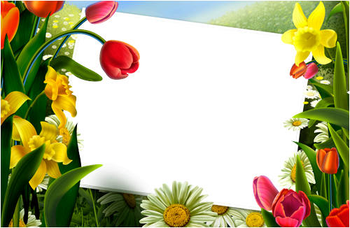 Flowers Frame photo frame