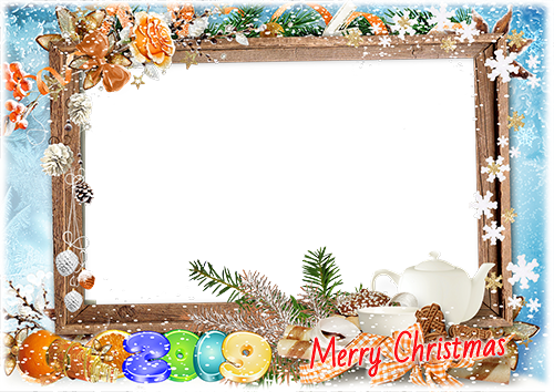 Happy New Year2019 Year of the Pig photo frame