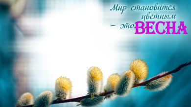 онлайн весенняя верба