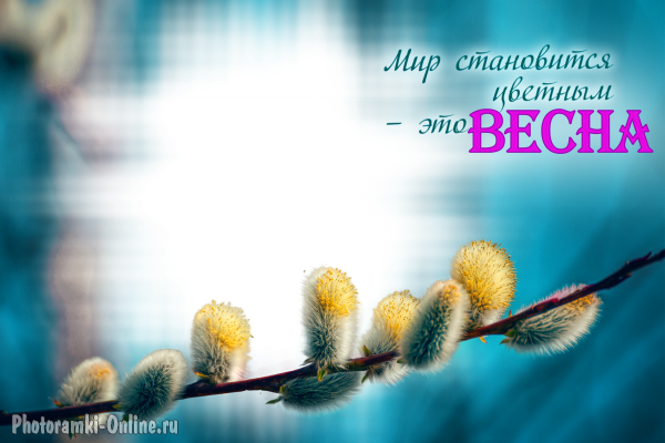  онлайн весенняя верба