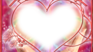 онлайн любовь сердце ладони 390x220 - фоторамка онлайн любовь сердце ладони