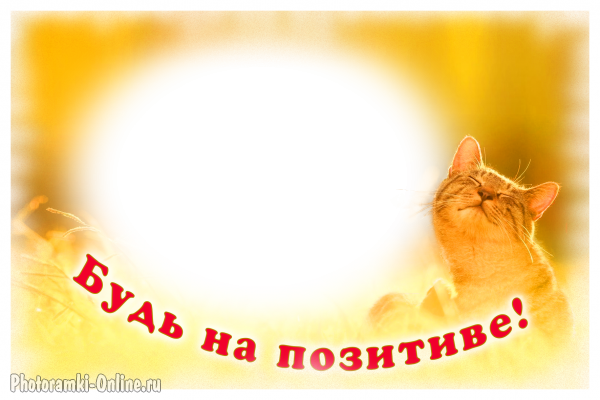  онлайн с позитивным котом