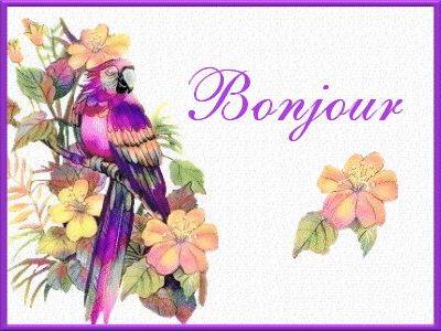Bonjour Site Bonjour Image - Bonjour Site Bonjour Image