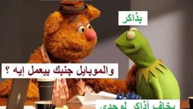 الضفضع الاخضر