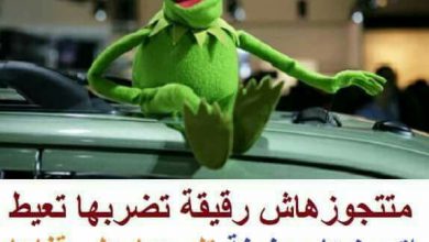 مضحكه للضفدع