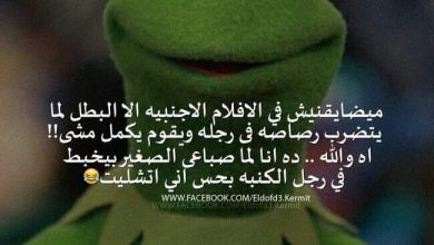 الفيس بوك